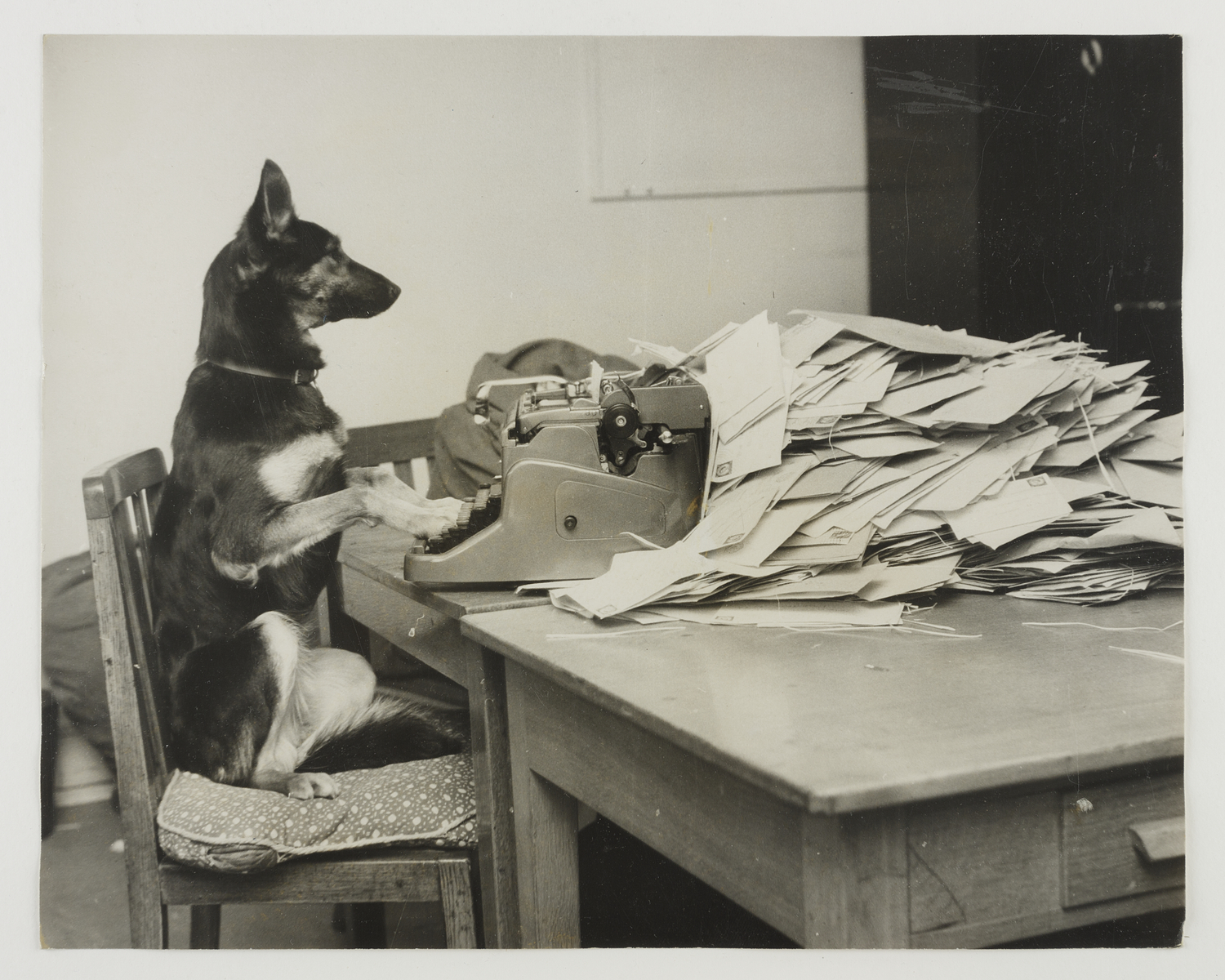 A dog sits at a typewriter, surrounded by letters