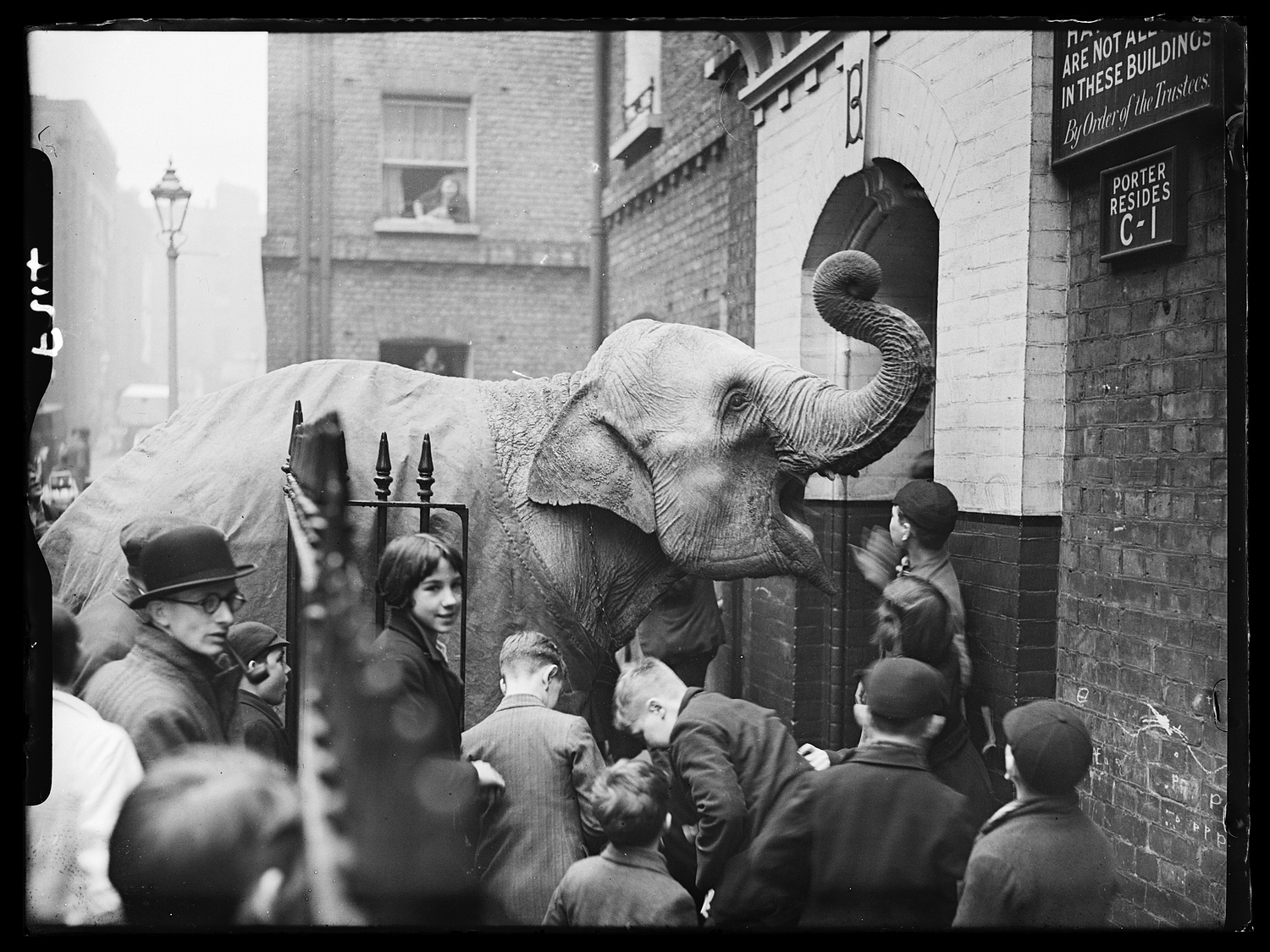 A large elephant in a city street, surrounded by people
