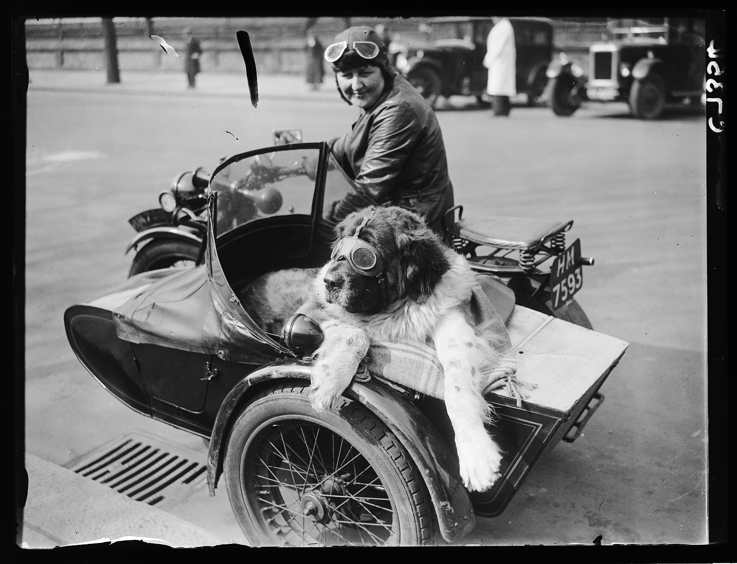 A woman in bicycle leathers riding a motorcyle with a sidecar, in which sits a large fluffy dog wearing goggles