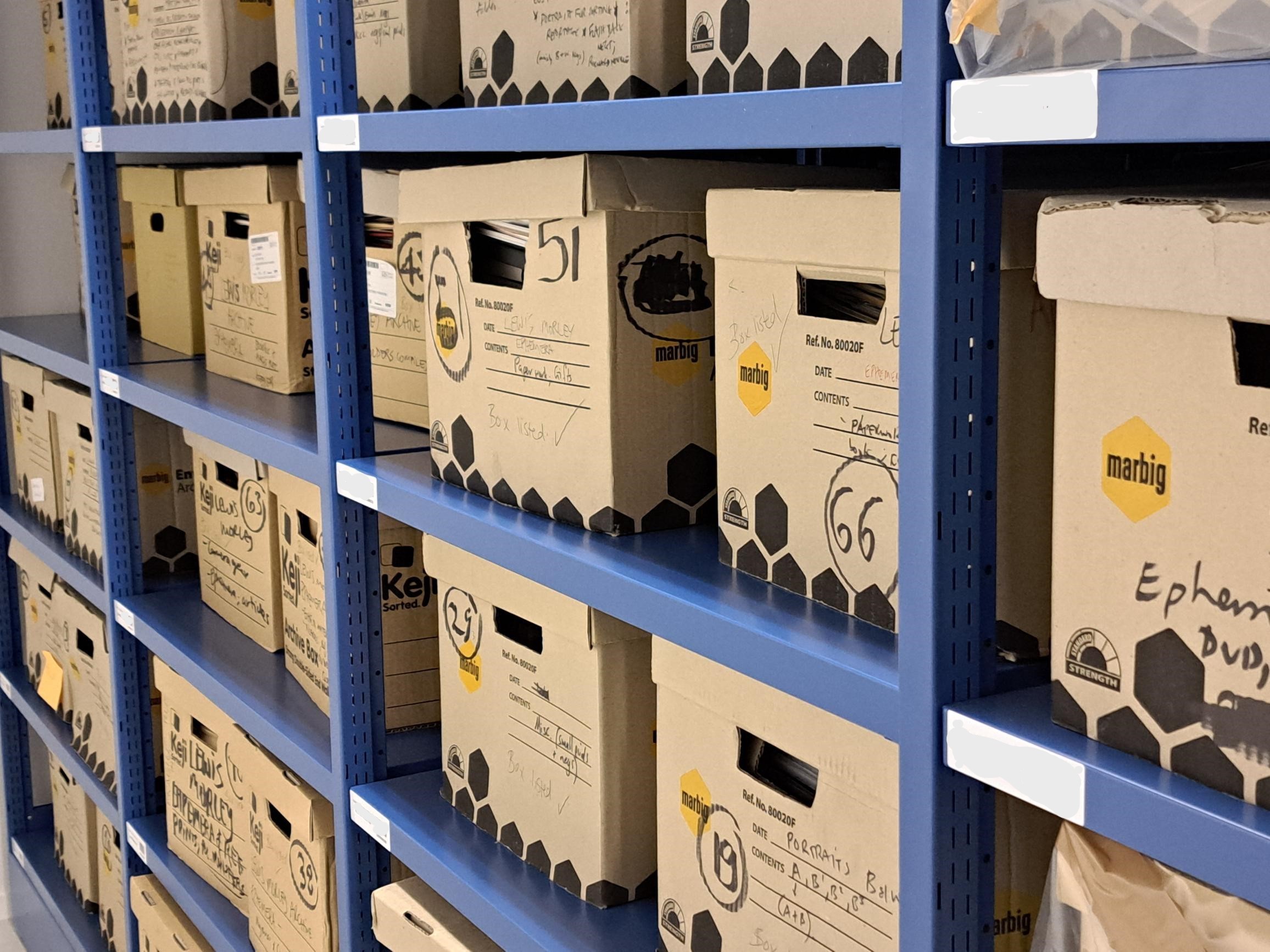 Blue metal storage shelves filled with uniformly sized cardboard boxes