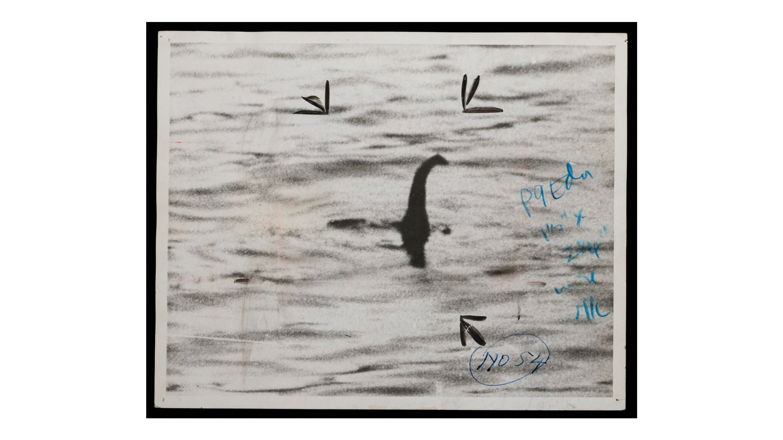 A blurry, dark shape appearing from a loch. The photo is grainy and has a photo editor's crop marks and notes in blue pencil.