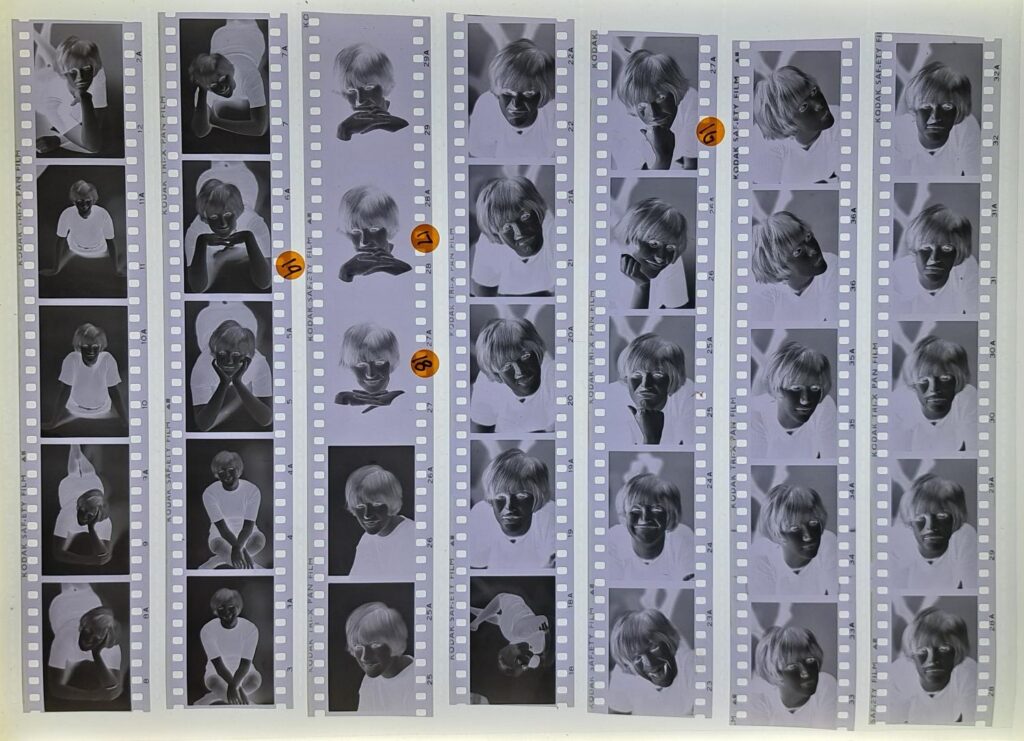 Seven strips of 5 negatives, some with small orange dot stickers