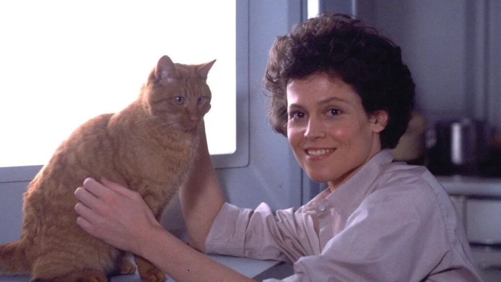 Sigourney Weaver and Jonesy, a ginger cat, in Alien