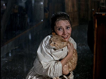 Audrey Hepburn holds a cat under her coat in the rain in Breakfast at Tiffanys