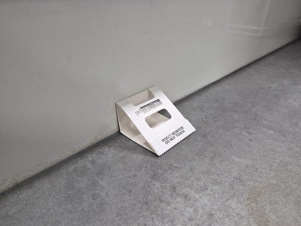 A pest trap against a grey wall. The trap is made of white cardboard folded into a triangular shape